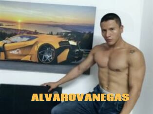 ALVAROVANEGAS