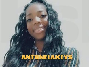 ANTONELAKEYS