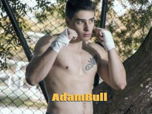 AdamBull