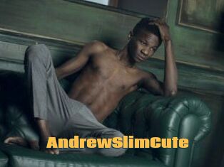 AndrewSlimCute