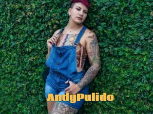 AndyPulido