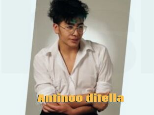 Antinoo_ditella