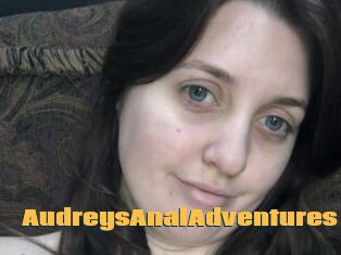 AudreysAnalAdventures