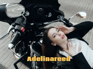 Adelinareed