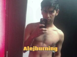 Alejburning