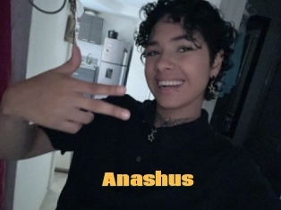 Anashus