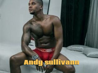 Andy_sullivann