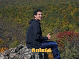 Anis66