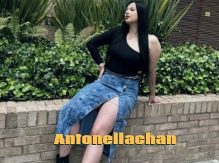 Antonellachan