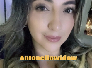 Antonellawidow