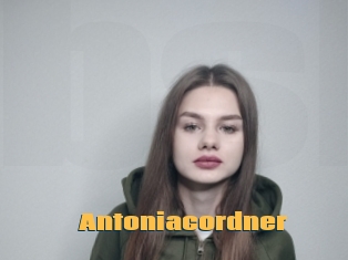 Antoniacordner