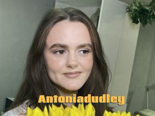 Antoniadudley