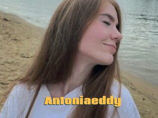 Antoniaeddy