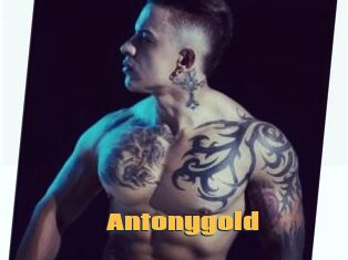 Antonygold