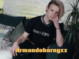 Armandohornyxx