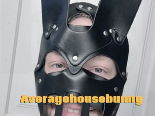 Averagehousebunny