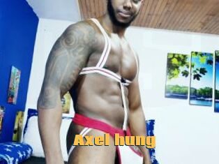 Axel_hung