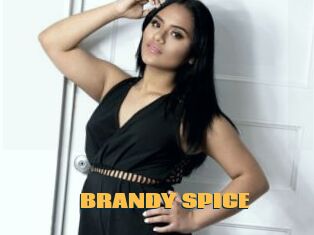 BRANDY_SPICE