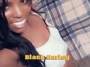 Black_Harley