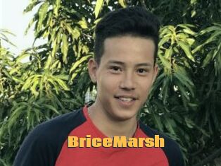 BriceMarsh