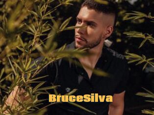 BruceSilva