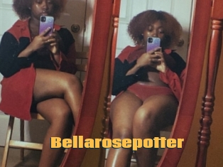 Bellarosepotter