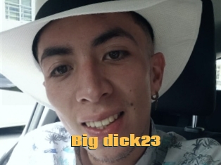 Big_dick23