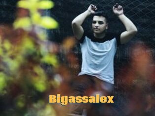 Bigassalex