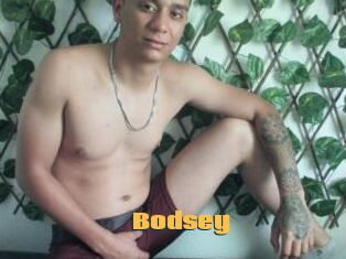 Bodsey