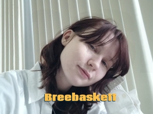 Breebaskett