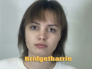 Bridgetharrie