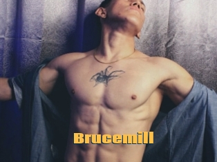 Brucemill