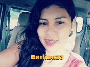 Carlina23