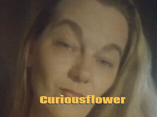 Curiousflower