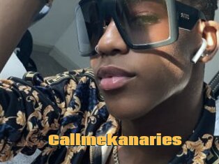 Callmekanaries