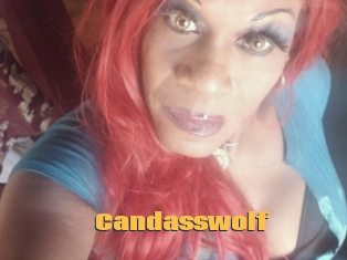 Candasswolf