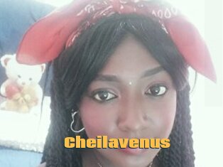 Cheilavenus