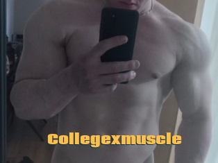 Collegexmuscle