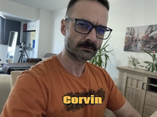 Corvin