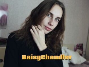 DaisyChandler