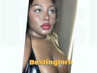 Destinytorn