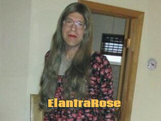 Elantra_Rose