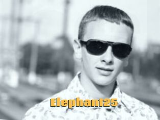 Elephant25