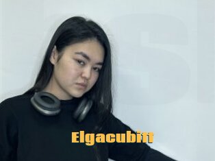 Elgacubitt