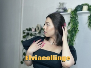Elviacollinge