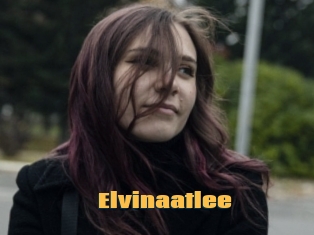 Elvinaatlee