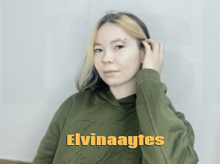Elvinaaytes