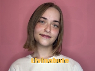 Elvinabute