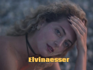 Elvinaesser