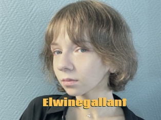 Elwinegallant